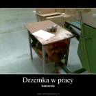 Fotka nr 4 z 7