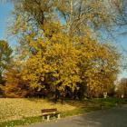 zdjęcie nr 38
