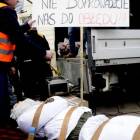 zdjęcie nr 13