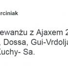 zdjęcie nr 12
