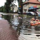 zdjęcie nr 8
