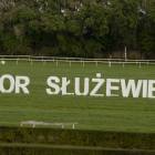 zdjęcie nr 31