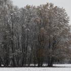zdjęcie nr 53
