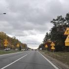 Fotka nr 3 z 18