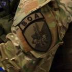 Fotka nr 5 z 11