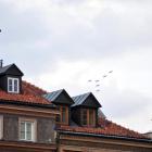 zdjęcie nr 47