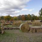 zdjęcie nr 32