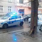 Fotka nr 2 z 4
