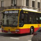 Fotka nr 5 z 10