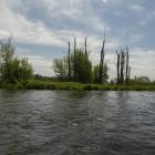 zdjęcie nr 68