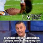 zdjęcie nr 23