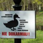 zdjęcie nr 34