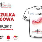 zdjęcie nr 10