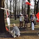 zdjęcie nr 7