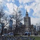 zdjęcie nr 20