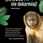 zdjęcie nr 19