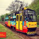 Fotka nr 1 z 8