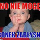 zdjęcie nr 12