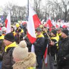 zdjęcie nr 13