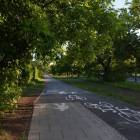 zdjęcie nr 8