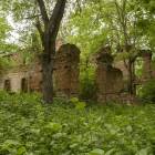 zdjęcie nr 57