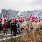 zdjęcie nr 19