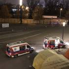 Fotka nr 2 z 21