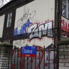 Fotka nr 4 z 6