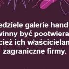 zdjęcie nr 6