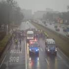 zdjęcie nr 43