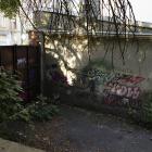 Fotka nr 5 z 10