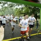 zdjęcie nr 30