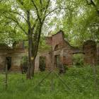 zdjęcie nr 58