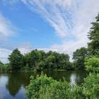 zdjęcie nr 44