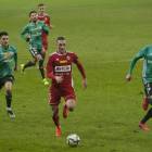zdjęcie nr 10