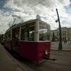 zdjęcie nr 10