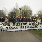 zdjęcie nr 13