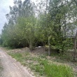 zdjęcie nr 