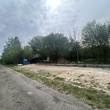zdjęcie nr 