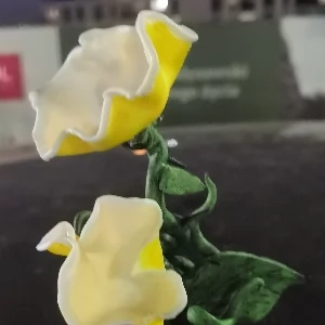 Oferuję Warszawa i okolice ogłoszenia drobne  | wio.waw.pl