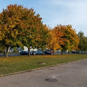 Zdjęcie: Ulice place Warszawa MIEJSCA