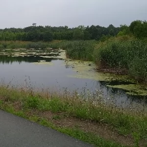 Zdjęcie: Wędkarstwo Warszawa SPORT