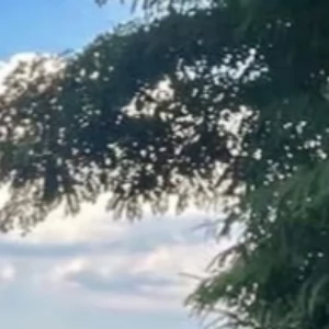 Zdjęcie: Warszawa okolice wiadomości Portal Warszawy