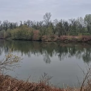 Zdjęcie: Warszawa okolice wiadomości Portal Warszawy