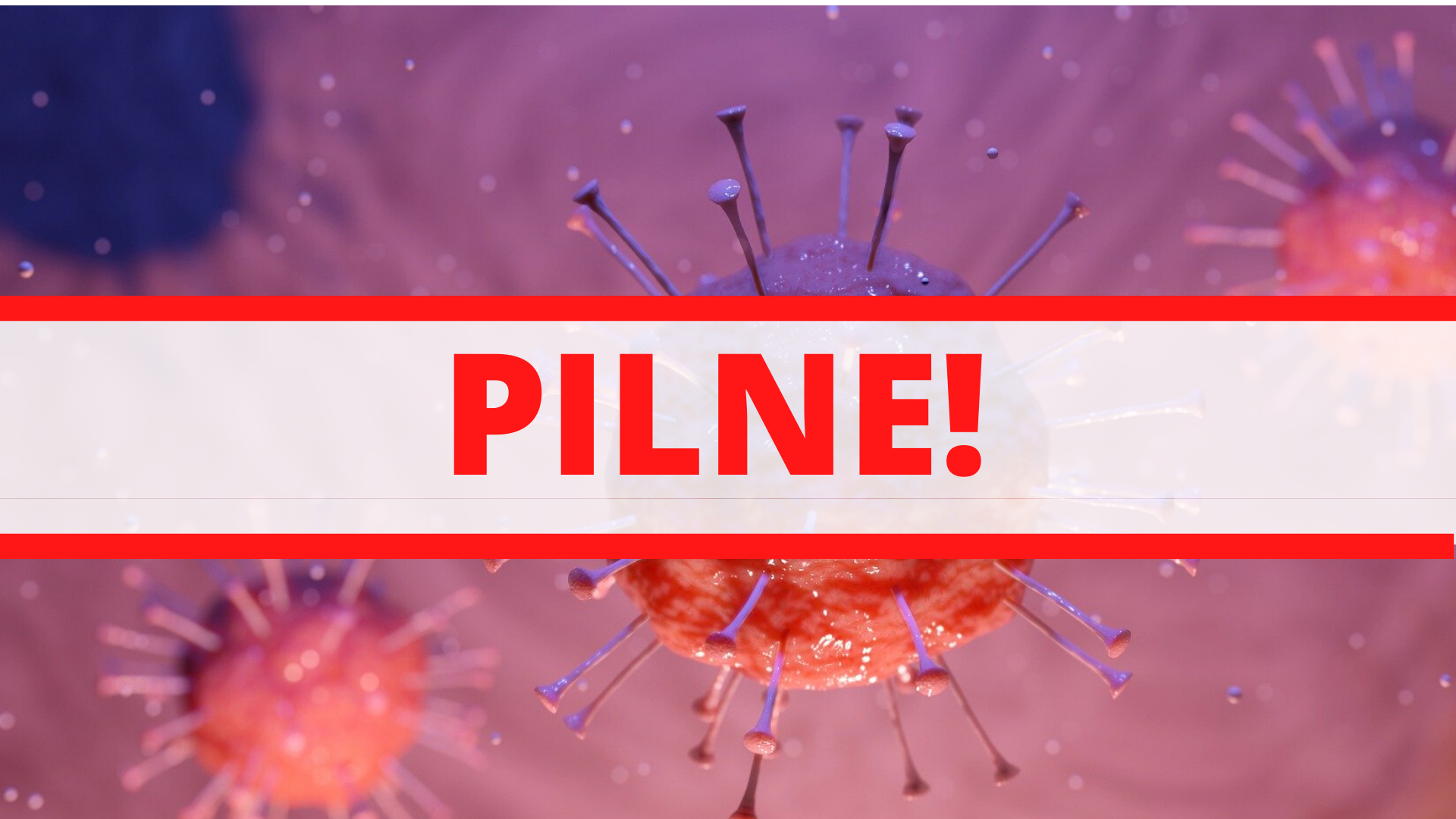 Zdjęcie: Warszawa okolice wiadomości Portal Warszawy