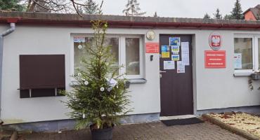 Łomiankowska Choinka Dobroci