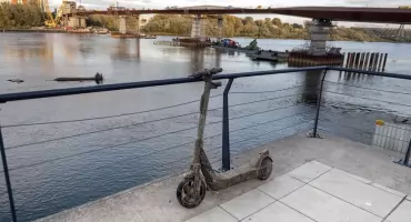 Gruba ryba z Wisły