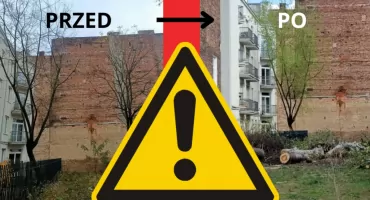 Zamiast przesadzić - wyciął. Nieodpowiedzialna akcja dewelopera na Pradze-Północ