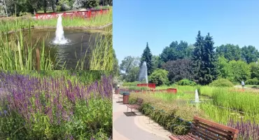 Spacer podczas długiego weekendu? Park im. Edwarda Szymańskiego zaprasza! (ZDJĘCIA) 