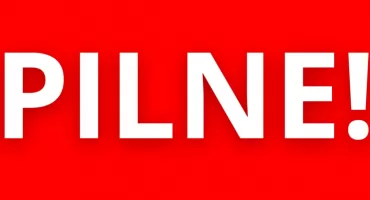 Łoś zjawił się na drodze. Tragedia na trasie Sokołów Podlaski – Emilianów